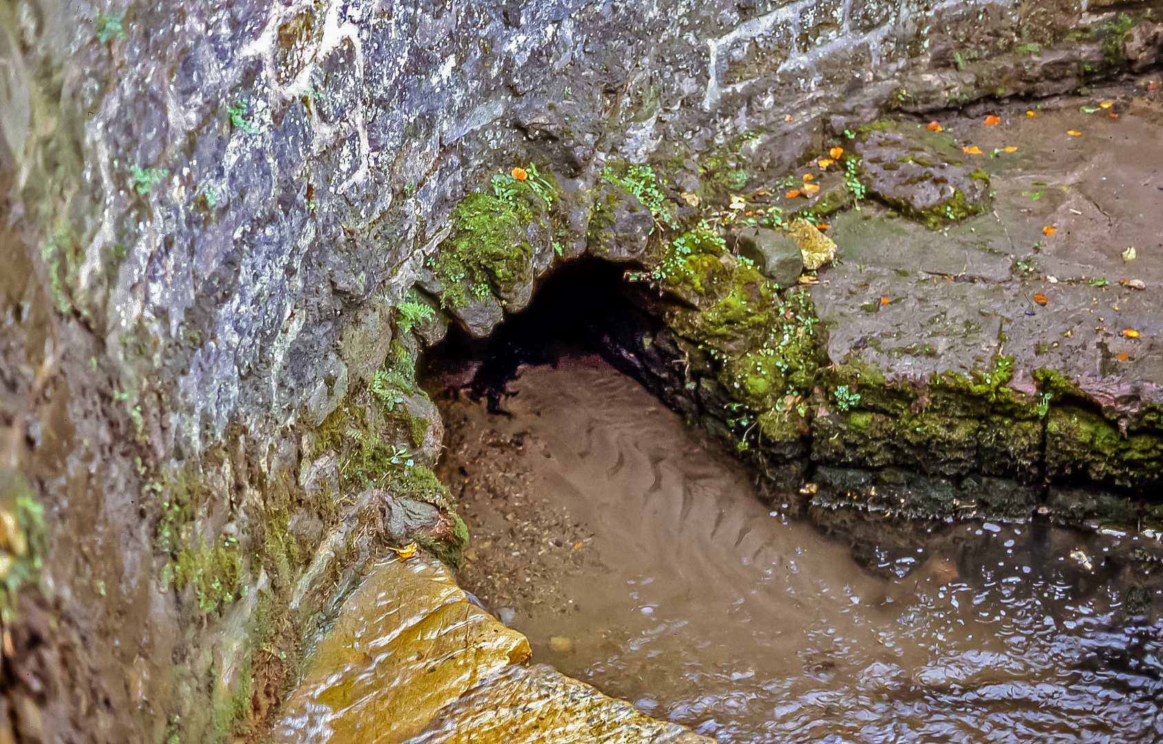 Tail of Cromford Sough Nov 1991